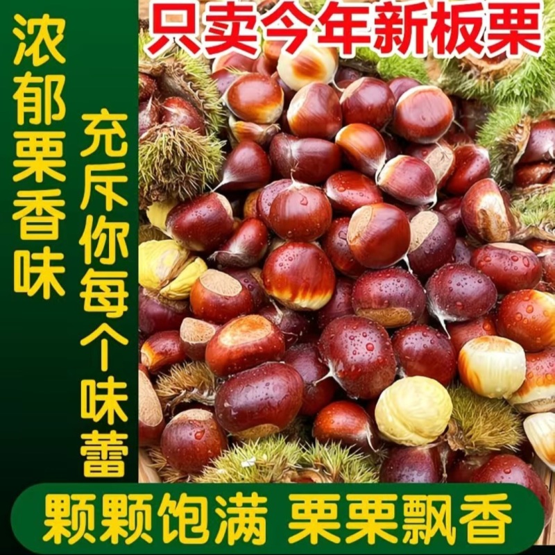 【精选】正宗迁西板栗，口感软糯香甜，当季采摘，炒货专用