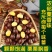【精选】正宗迁西板栗，口感软糯香甜，当季采摘，炒货专用