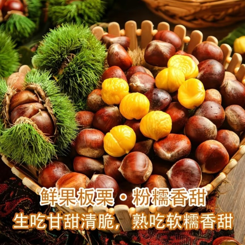 【精选】正宗迁西板栗，口感软糯香甜，当季采摘，炒货专用