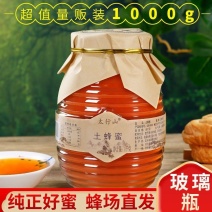 正品太行山土蜂蜜正宗枣花蜜纯正天然土蜂蜜纯正蜂蜜枇杷