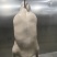 北京四系填鸭胚