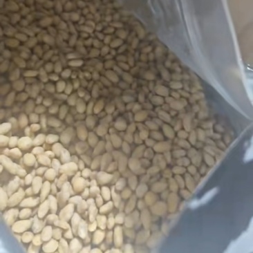 蟹黄味瓜子仁瓜子仁蟹黄味瓜子坚果大量库存十吨
