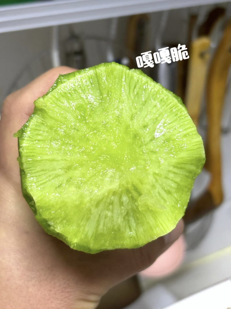 【河南萝卜】周口青萝卜/水果萝卜/电商团购一件代发批发价