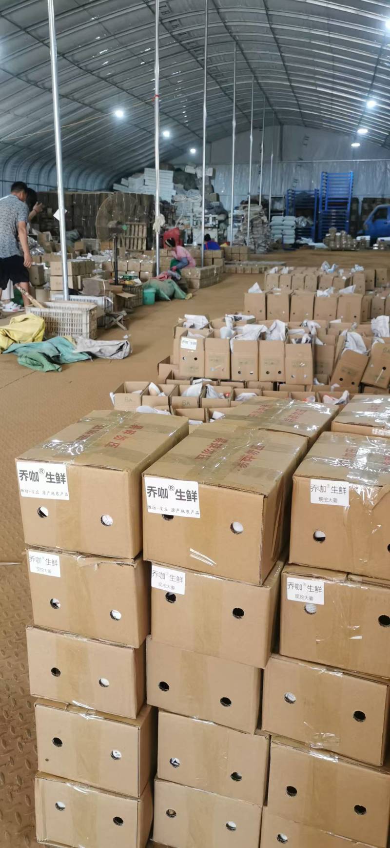 山东潍坊牛奶芋头芋头小芋艿可电商一件代发