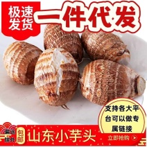 山东潍坊牛奶芋头芋头小芋艿可电商一件代发