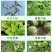 海藻氨基酸，水溶肥，有机水溶肥，桶装肥，每桶20公斤