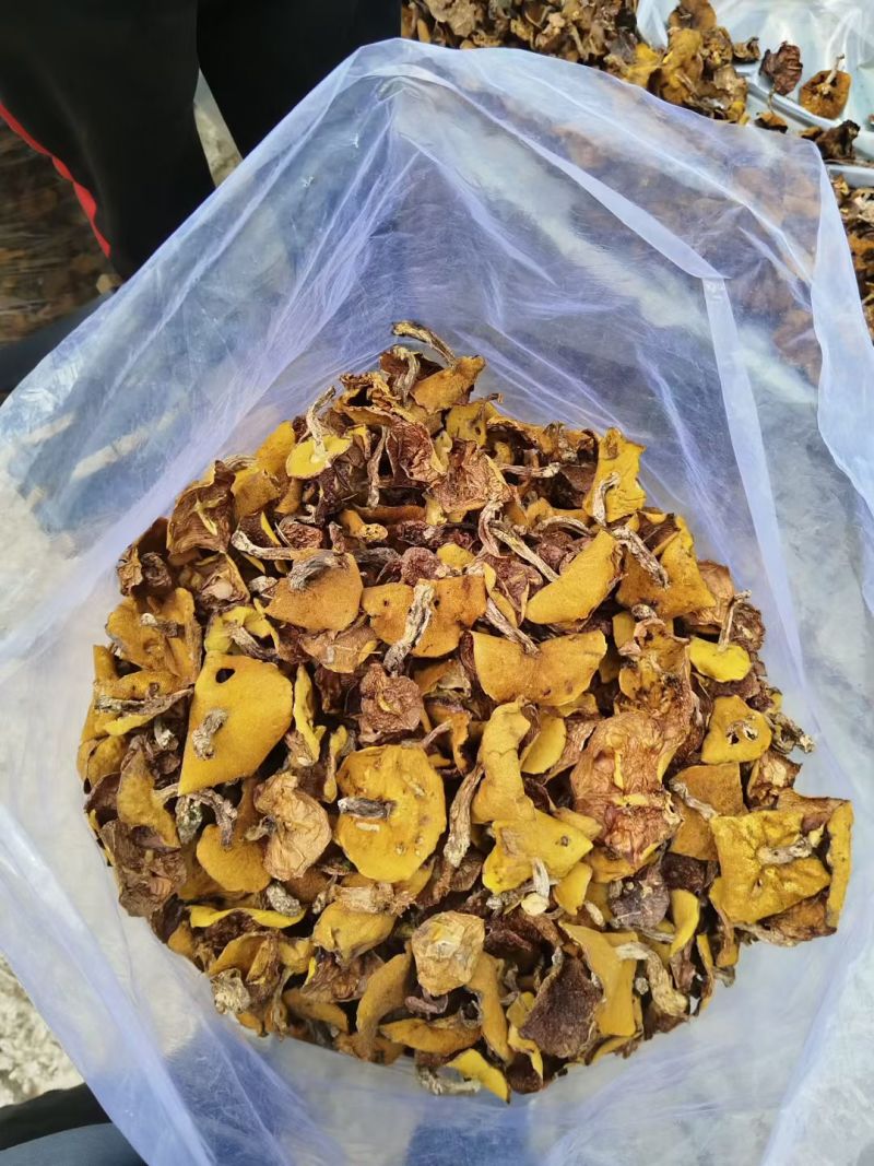 2025新货烤干松蘑，质量好，颜色鲜亮，产地直发，品质好