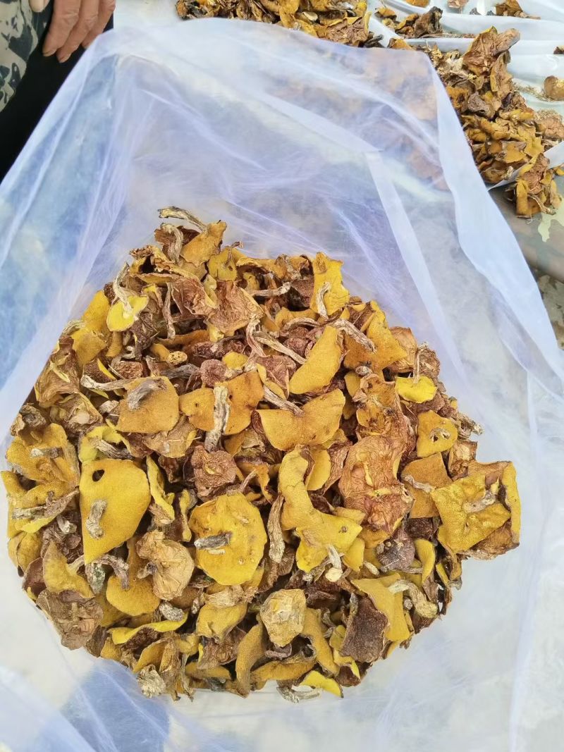 2025新货烤干松蘑，质量好，颜色鲜亮，产地直发，品质好
