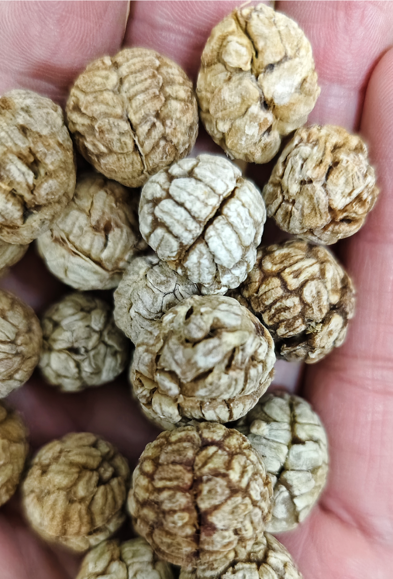 草豆寇多个品类一起批发有需要的老板直接下单就发货