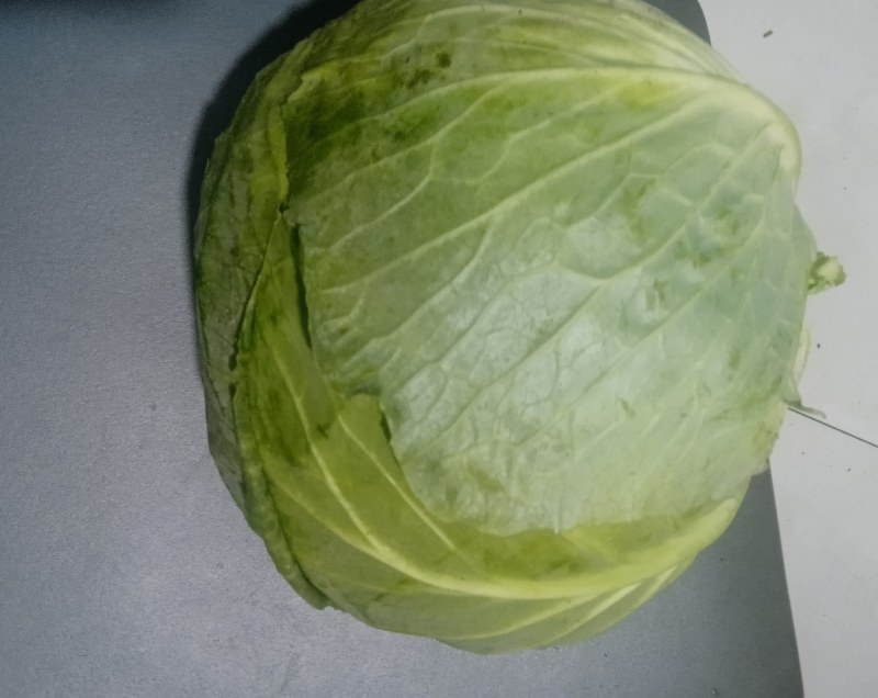 大包菜