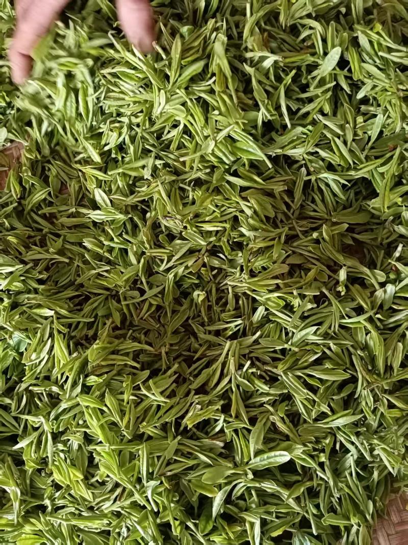 [牛]精品石婆洼白茶品质优良原产地直发欢迎选购