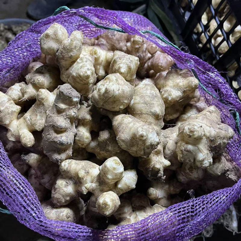宁夏精品洋姜鬼子姜菊芋