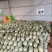 西州蜜25哈密瓜产地直发一手货源保质保量全国发货量大价优