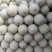 西州蜜25哈密瓜产地直发一手货源保质保量全国发货量大价优