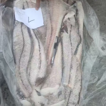 水鳕鱼
