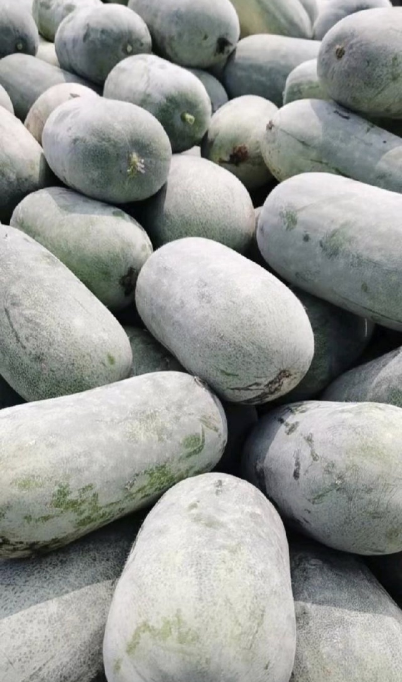 水果冬瓜