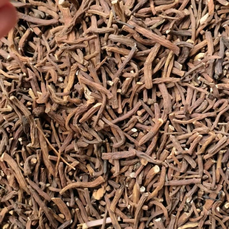蒲公英根中药材正品蒲公英根无熏硫无杂质中药材