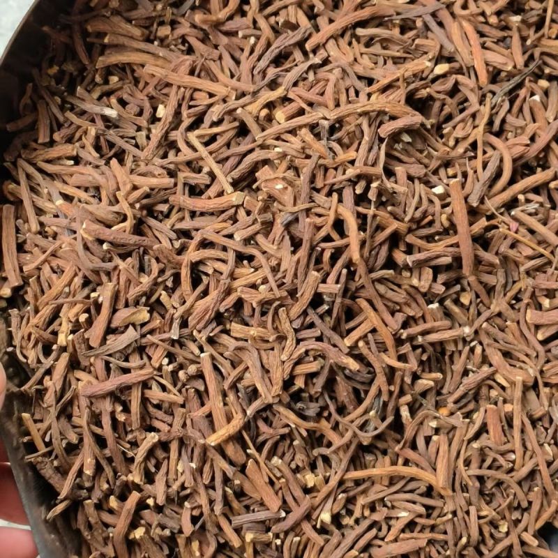 蒲公英根中药材正品蒲公英根无熏硫无杂质中药材