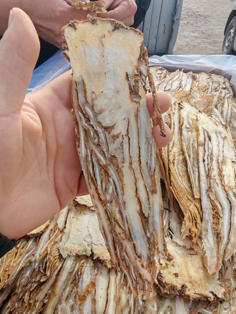 甘肃岷县原产地，无硫当归佛手片，价廉物美，全国包邮，