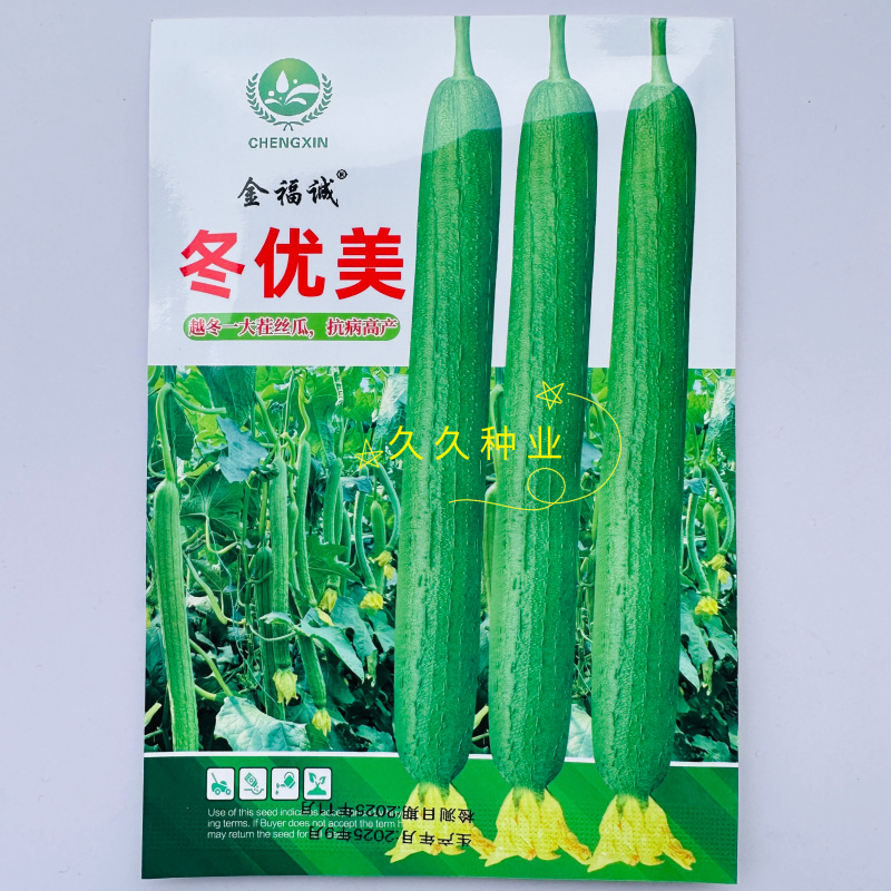 冬优美长丝瓜种子越冬温室大棚丝瓜种子肉厚心腔小耐运输高产