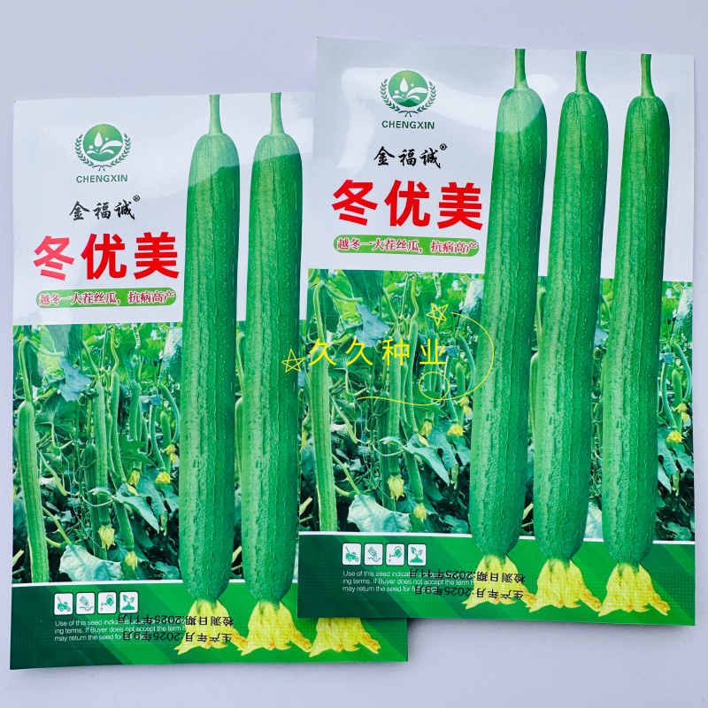 冬优美长丝瓜种子越冬温室大棚丝瓜种子肉厚心腔小耐运输高产