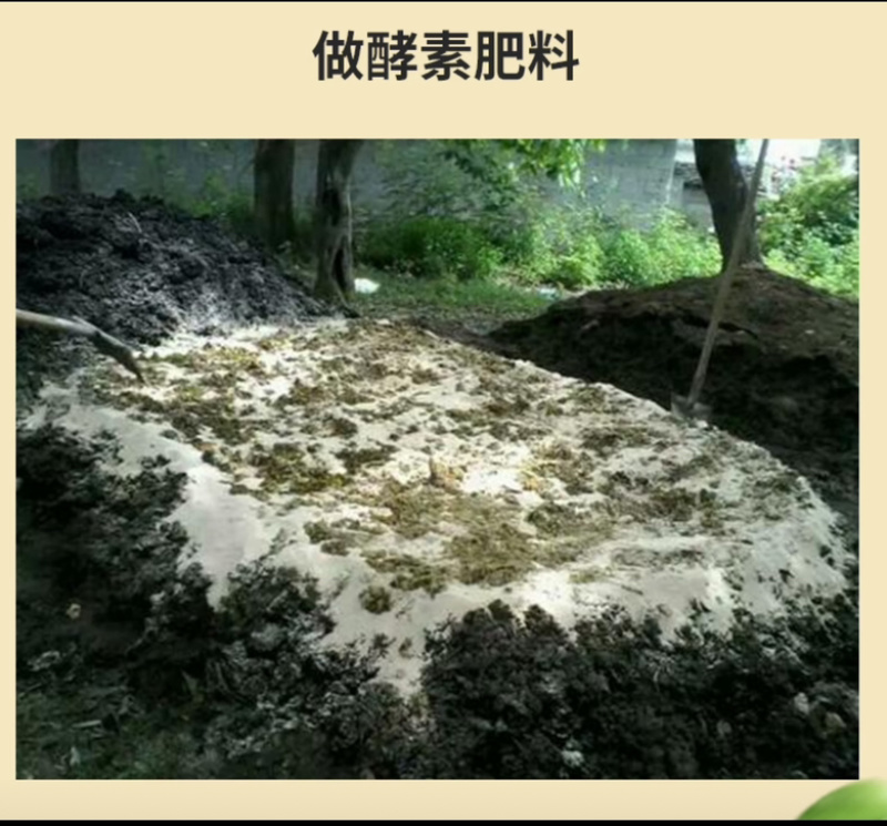 油糠正宗东北米糠高油高蛋白低灰低纤维动物饲料鱼饵打窝料菌养殖