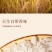 【产地直供】东北圆粒珍珠米新稻现磨源头直发