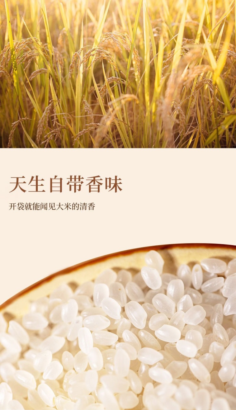 【产地直供】东北圆粒珍珠米新稻现磨源头直发