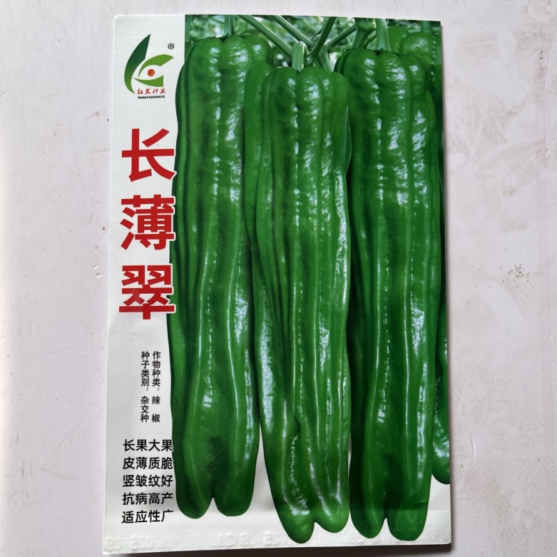 红发长薄翠薄皮椒种子，大果青皮杂交一代种子
