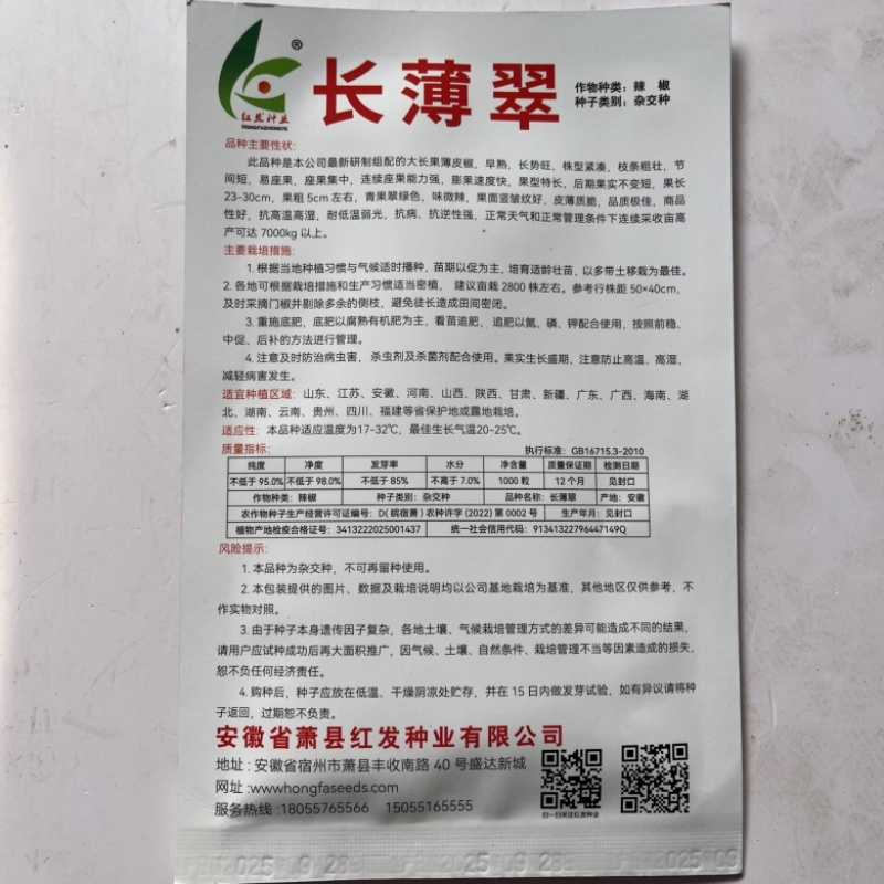红发长薄翠薄皮椒种子，大果青皮杂交一代种子