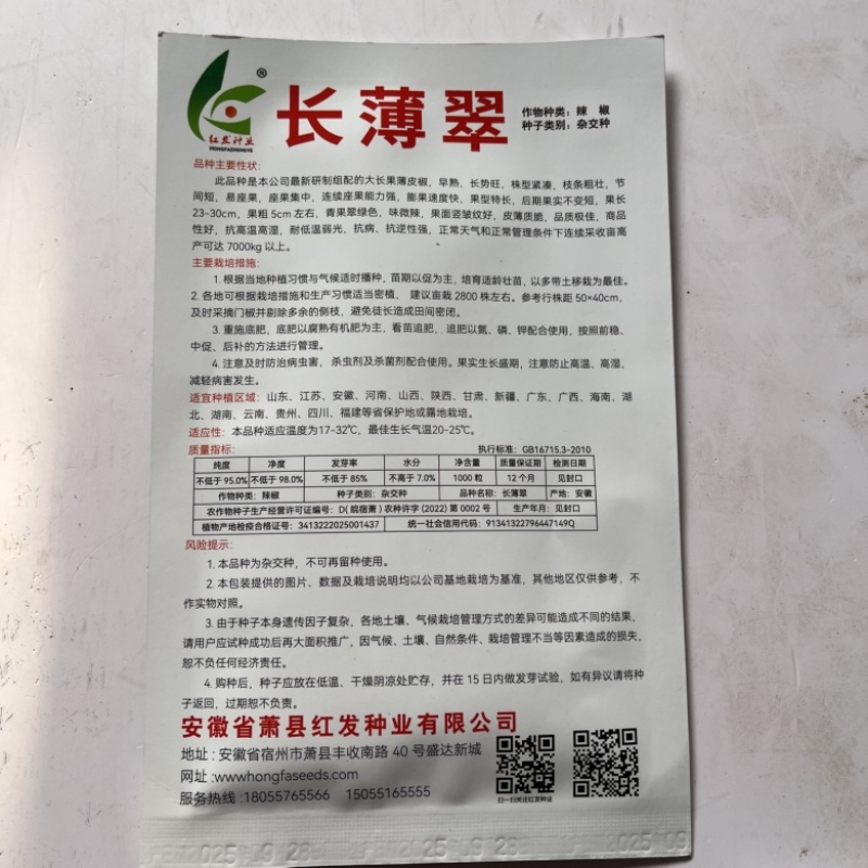 红发长薄翠薄皮椒种子，大果青皮杂交一代种子