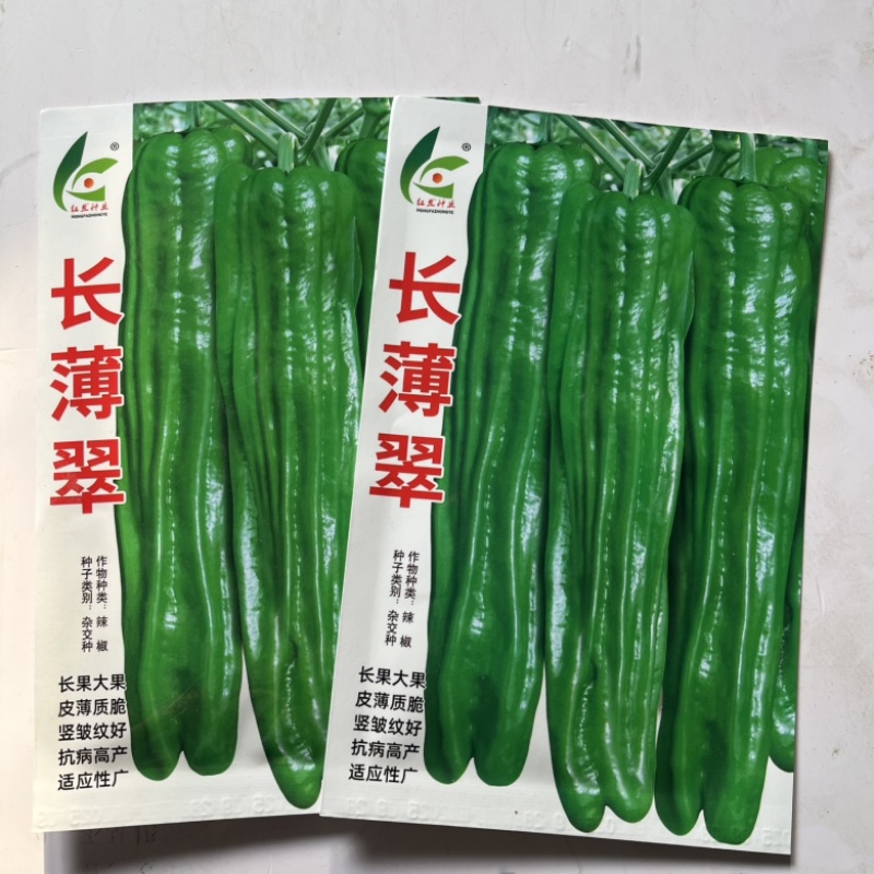 红发长薄翠薄皮椒种子，大果青皮杂交一代种子