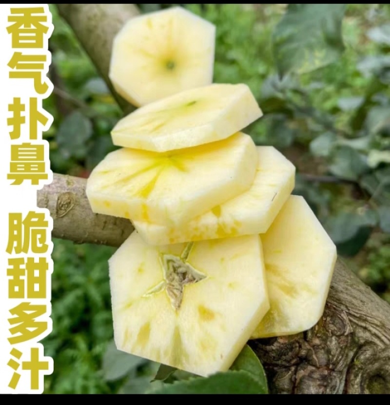 丑苹果新鲜水果平果当季整箱冰糖心红富士水果大凉山盐源