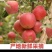 丑苹果新鲜水果平果当季整箱冰糖心红富士水果大凉山盐源