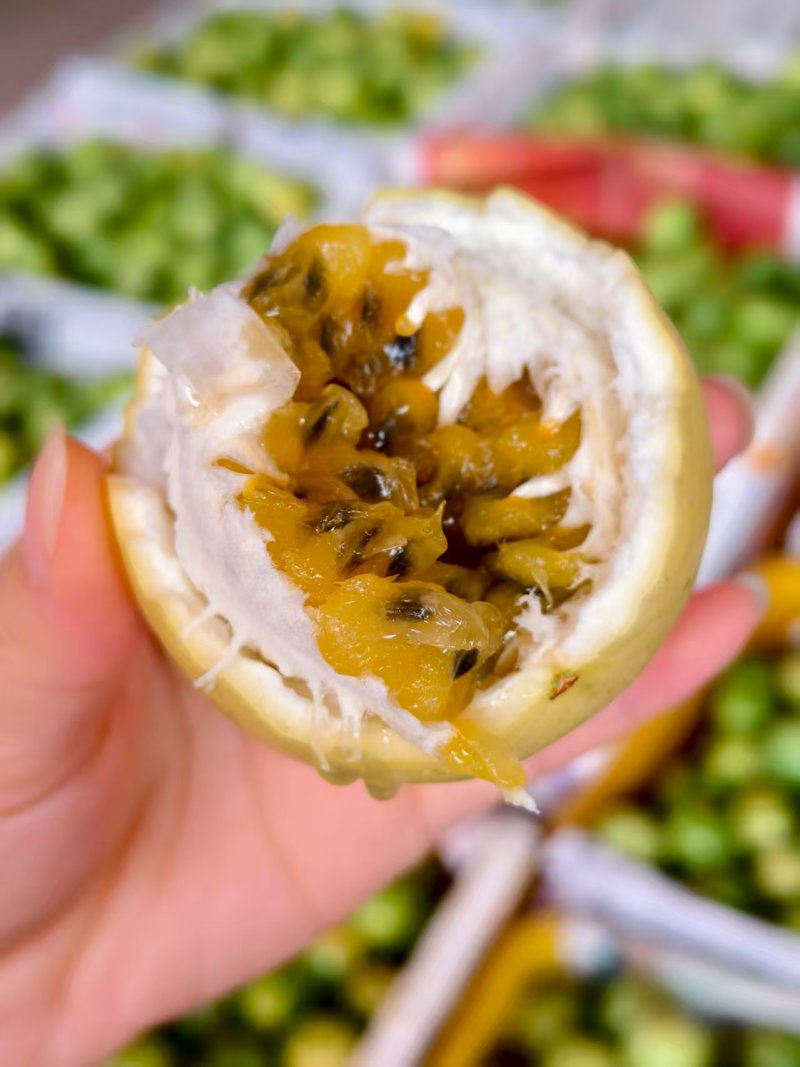 海南钦蜜九号百香果，皮薄多汁，每天大量供应电商果市场果