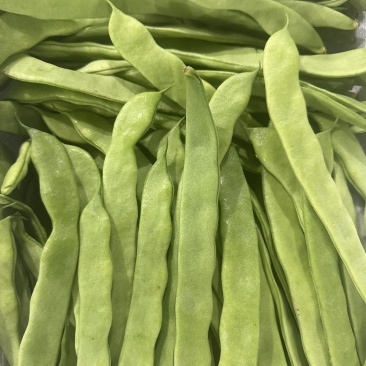 利农翡翠168扁豆种子肉厚不鼓粒嫩荚翠绿商品性好豆角籽