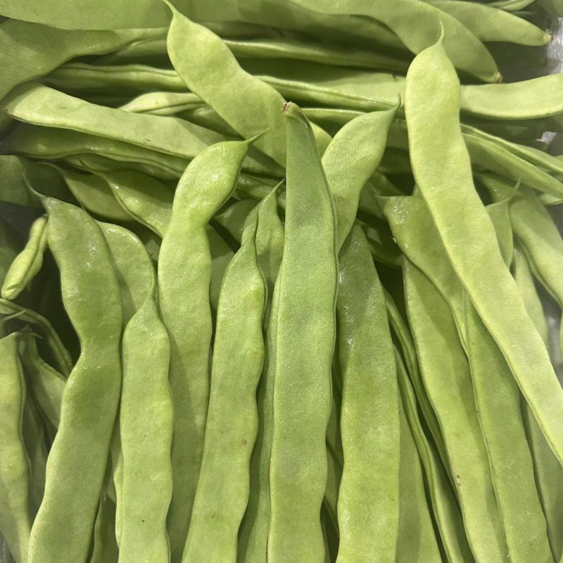 利农翡翠168扁豆种子肉厚不鼓粒嫩荚翠绿商品性好豆角籽