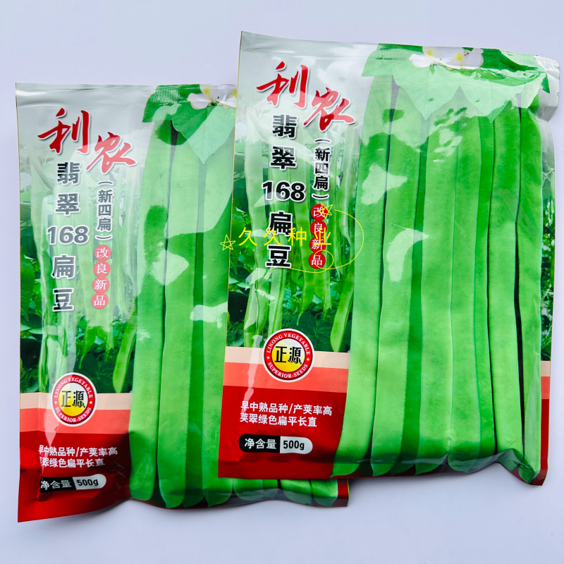 利农翡翠168扁豆种子肉厚不鼓粒嫩荚翠绿商品性好豆角籽
