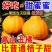【热卖】四川不知火丑拒基地直发对接全国保质保量一条龙