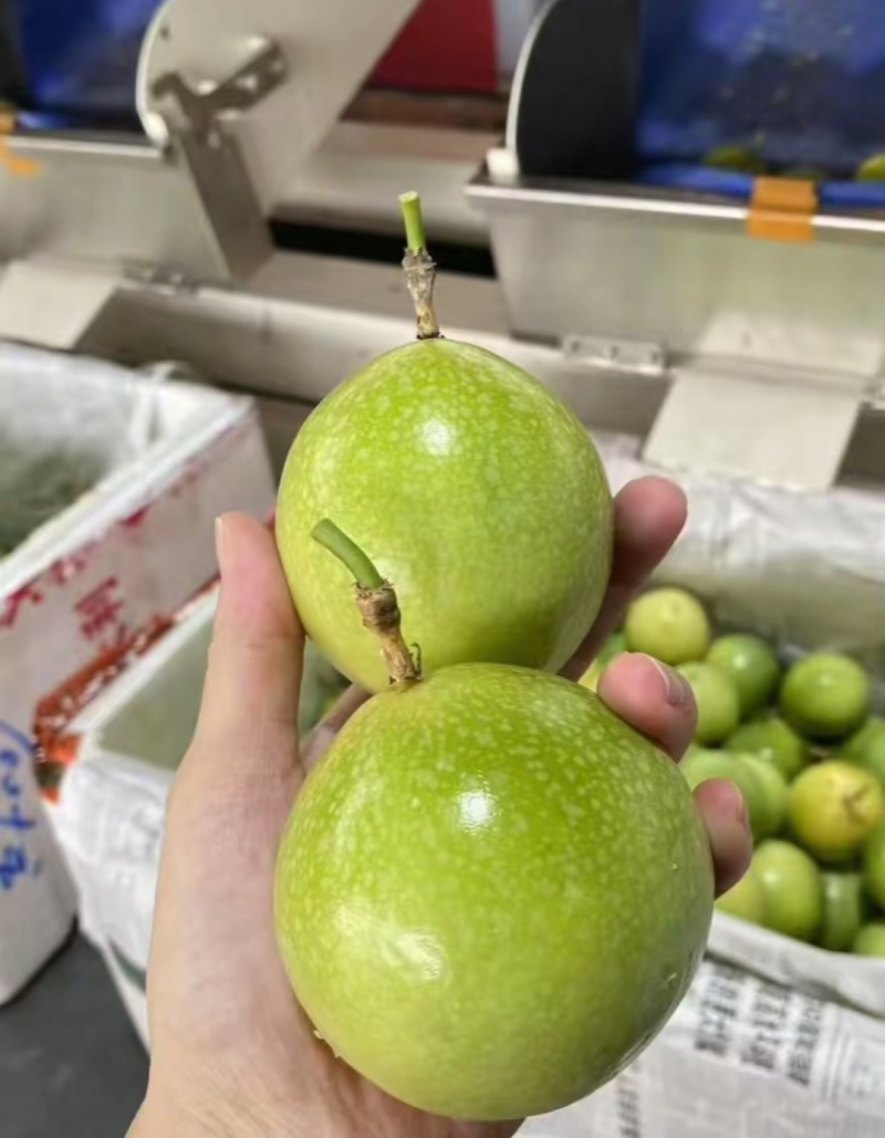 钦蜜9号百香果