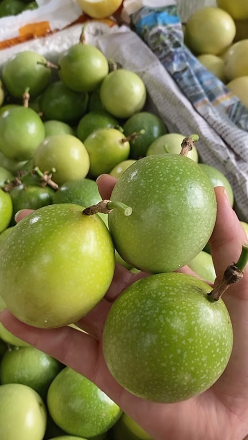 钦蜜9号百香果