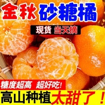 【精选】四川金秋砂糖橘原产地直发以质论价售后无忧一条龙