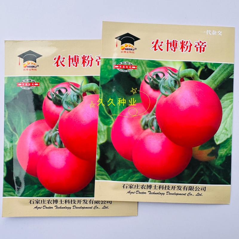 农博粉帝番茄种子无限生长粉果早耐低温弱光果硬耐贮运西红柿