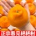 【精选】四川春见耙耙柑量大从优对接全国一条龙服务