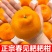 【精选】四川春见耙耙柑量大从优对接全国一条龙服务