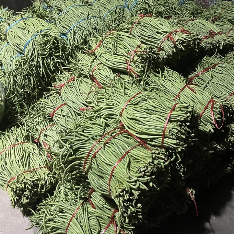 精品豆角