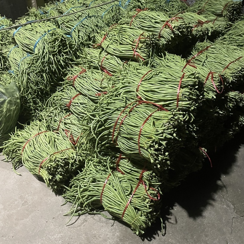精品豆角