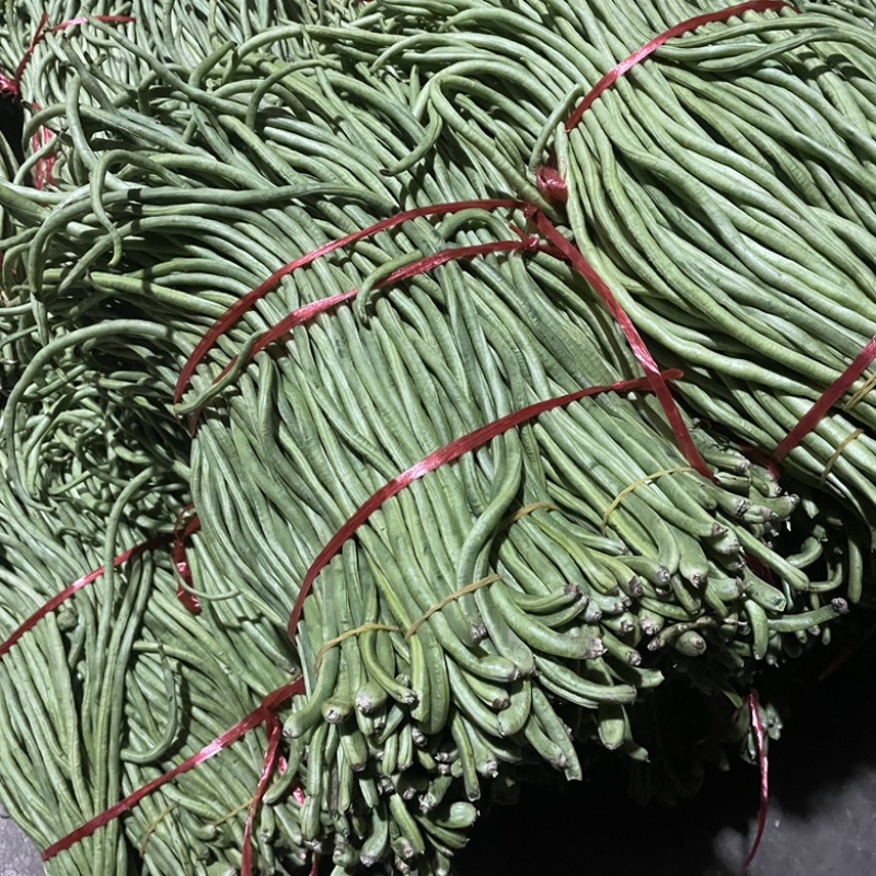 精品豆角