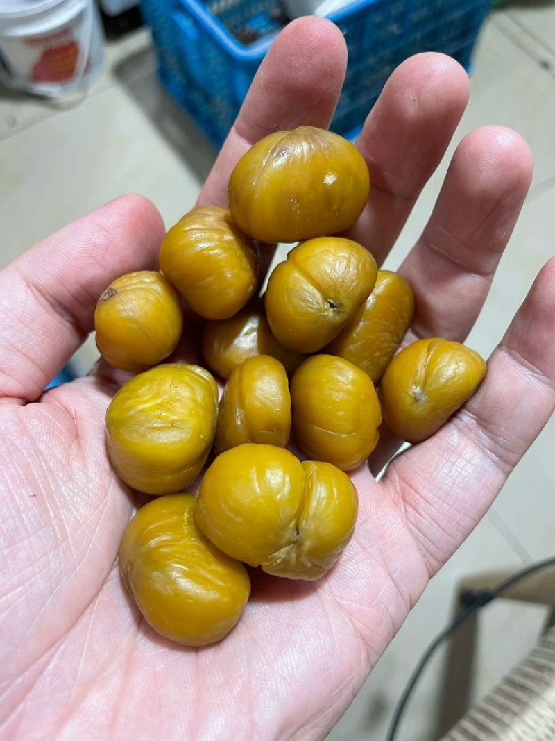 迁西板栗全国批