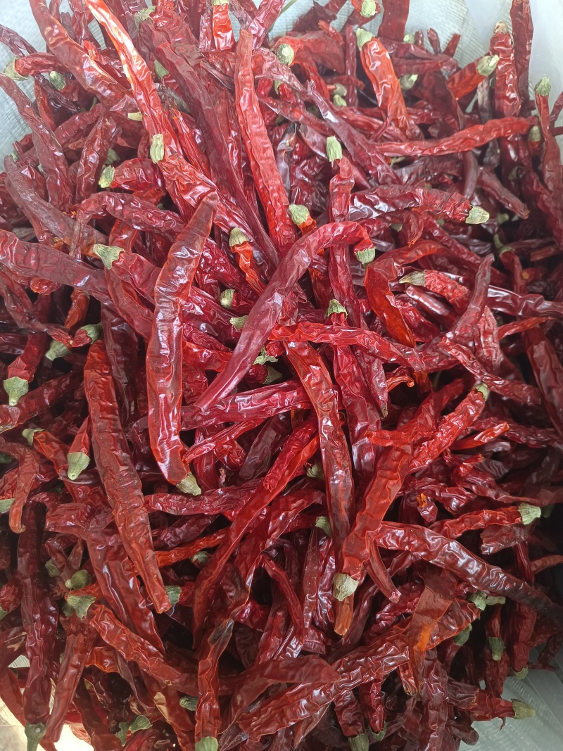 【热销】山西精品辣椒去把二荆条干辣椒